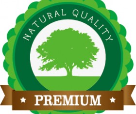 Nature oragnic labels vector design 15