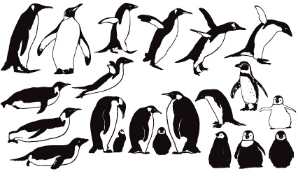Penguin cute vector and Photoshop shapes