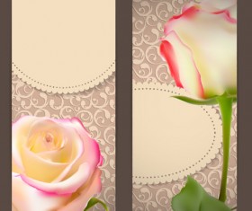 Rose cards with decor pattern vector 02