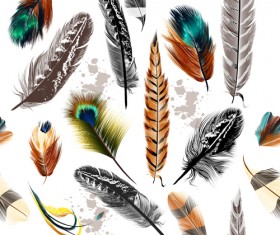 Seamless colorful feathers pattern vector
