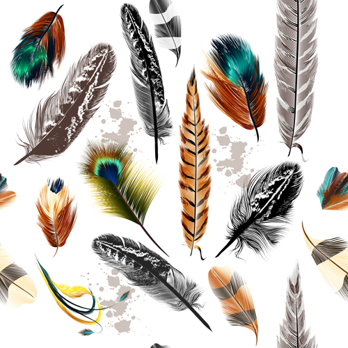 Seamless colorful feathers pattern vector