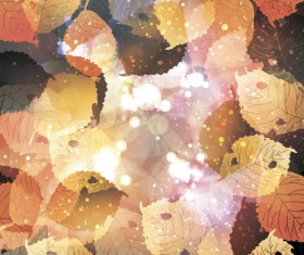 Autumn leaves with blurs vector background 03