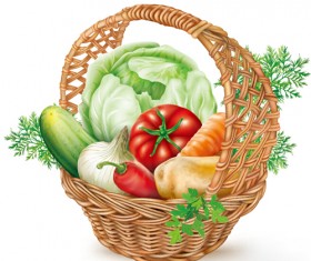 Basket with vegetables vector material