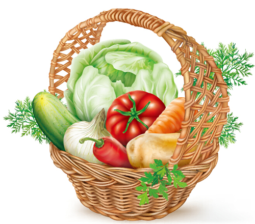 Basket with vegetables vector material