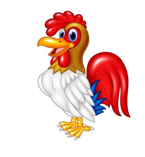 Beautiful cartoon cock vector free download