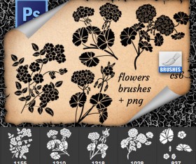 Beautiful flowers Photoshop brushes