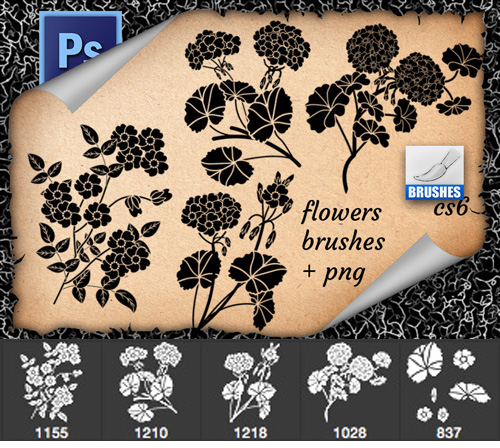Beautiful flowers Photoshop brushes