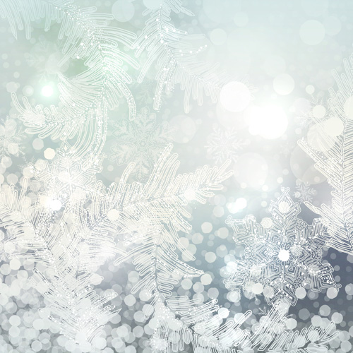 Beautiful snowflake blurs christmas background vector 03