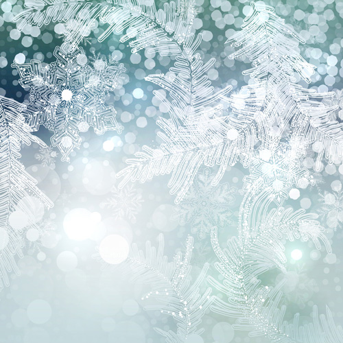 Beautiful snowflake blurs christmas background vector 04