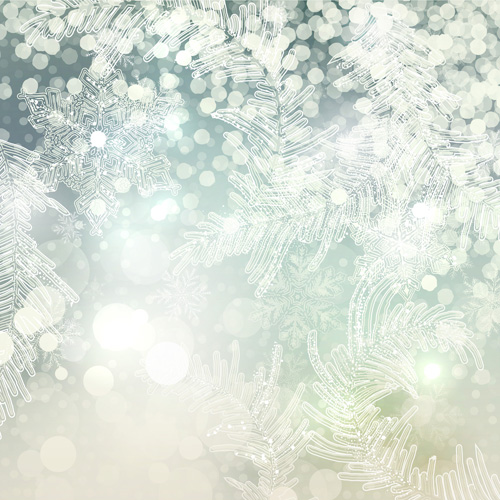 Beautiful snowflake blurs christmas background vector 05