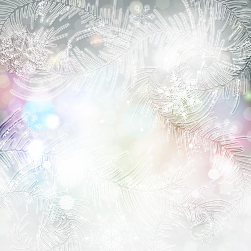 Beautiful snowflake blurs christmas background vector 06