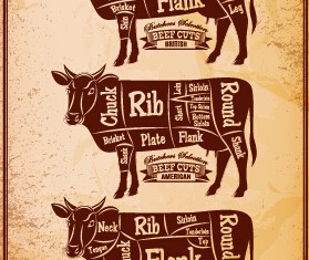 Beef cuts labels vector