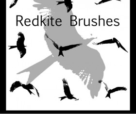 Birds kite Brushes