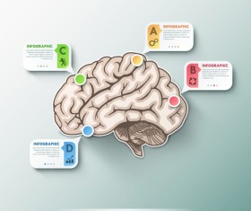 Business Infographic creative design 3684