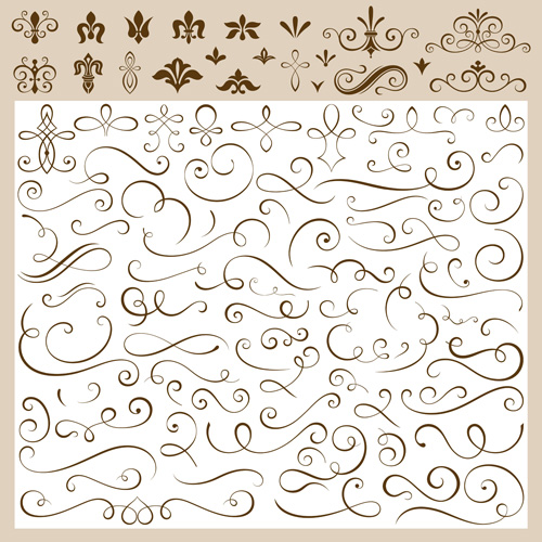 Calligraphic ornaments design elements vectors