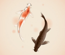 Chinese fish watercolor vector