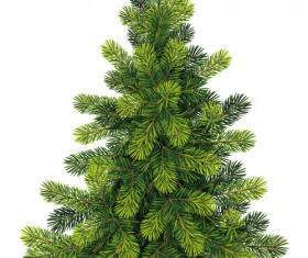 Christmas green fir-tree vector material 03
