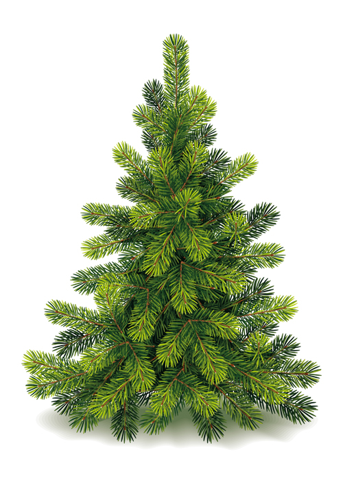 Christmas green fir-tree vector material 03