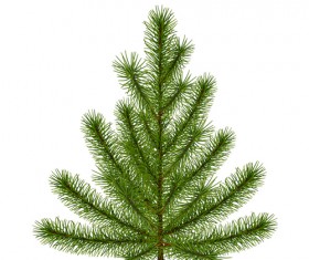 Christmas green fir-tree vector material 04