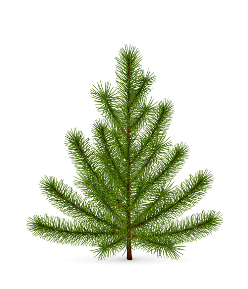 Christmas green fir-tree vector material 04