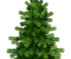 Christmas green fir-tree vector material 05