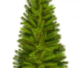 Christmas green fir-tree vector material 06
