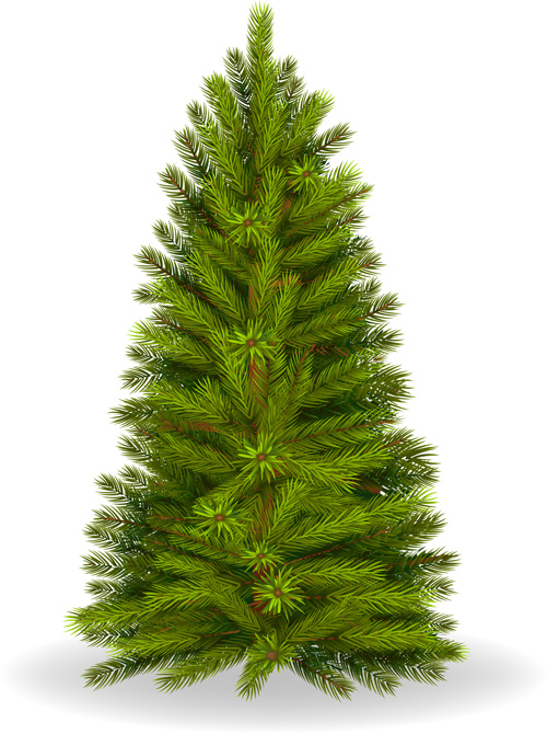 Christmas green fir-tree vector material 06