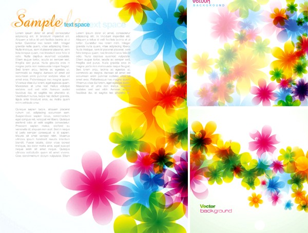 Colorful flower beautiful background vector