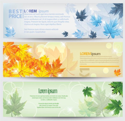 Colorful maple banner set vector