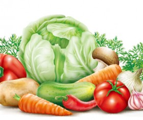 Different vegetables fresh vector 01
