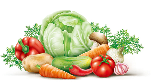 Different vegetables fresh vector 01