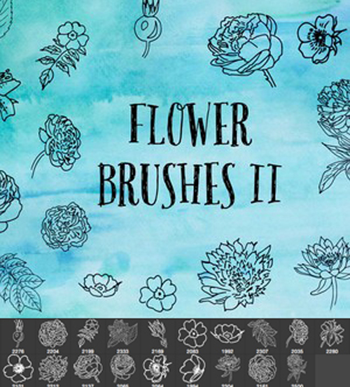 Flower hand drawing Photoshop Brushes