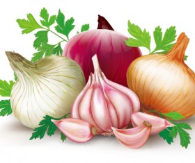 Garlic with onions vector design