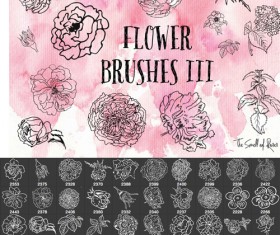 Hand drawn flowers Photsohop brushes
