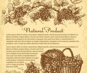 Hand drawn grapes background vintage vector 01