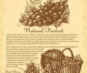 Hand drawn grapes background vintage vector 02