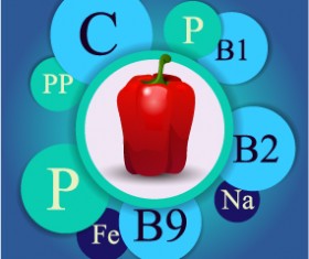 Healthy food with nutrition elements vector 05