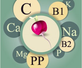 Healthy food with nutrition elements vector 06