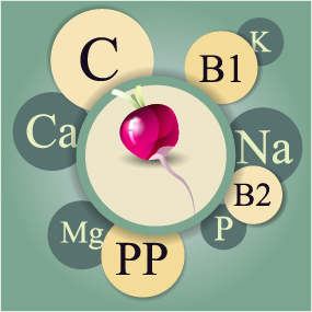 Healthy food with nutrition elements vector 06