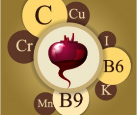 Healthy food with nutrition elements vector 07