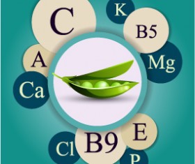 Healthy food with nutrition elements vector 08