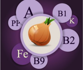 Healthy food with nutrition elements vector 09