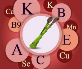 Healthy food with nutrition elements vector 10