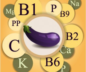 Healthy food with nutrition elements vector 11