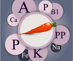 Healthy food with nutrition elements vector 12