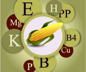 Healthy food with nutrition elements vector 13