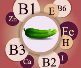 Healthy food with nutrition elements vector 14