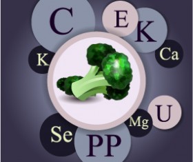 Healthy food with nutrition elements vector 15