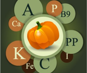 Healthy food with nutrition elements vector 16