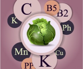 Healthy food with nutrition elements vector 17